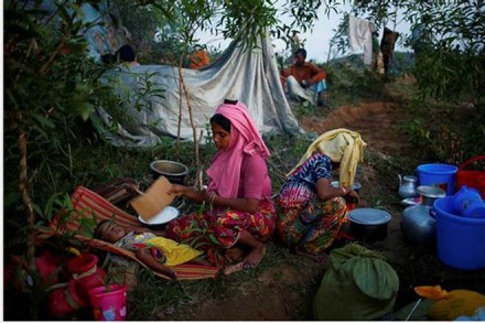 Myanmar, Myanmar news, Rohingya, Rohingya news, Rohingya conflict zone, conflict zone rohingya, rohingya muslim, Rohingya refugees