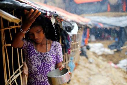 Rohingya, Rohingya villagers, Myanmar, Myanmar news, Myanmar latest news, Rohingya news, Rohingya latest news, Bangladesh, Bangladesh news