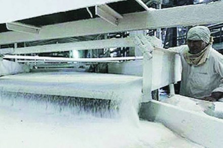 Sugar prices, Sugar prices during festive season, Sugar prices in india, Mukesh Kuvedia, Bombay Sugar Merchants Association, Indian Sugar Mills, sugar industry, sugar industry in india Sugar prices, Sugar prices during festive season, Sugar prices in india, Mukesh Kuvedia, Bombay Sugar Merchants Association, Indian Sugar Mills, sugar industry, sugar industry in india