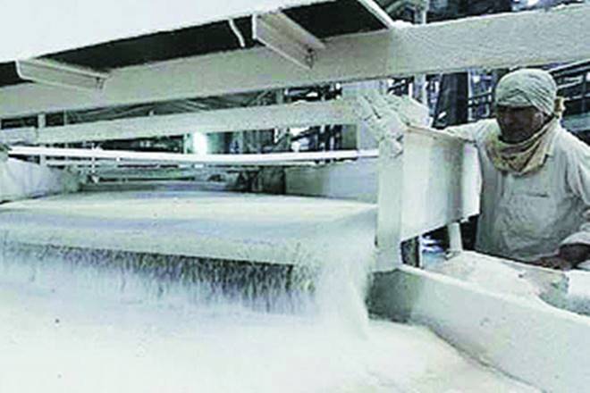 Sugar prices, Sugar prices during festive season, Sugar prices in india, Mukesh Kuvedia, Bombay Sugar Merchants Association, Indian Sugar Mills, sugar industry, sugar industry in india