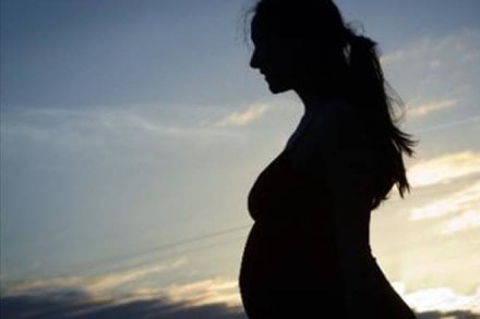 abortion, abortion limit india, abortion india, abortion limit, Arnold Chiari Type II syndrome, pregnancy terminate, Medical Termination of Pregnancy Act, Centre for Enquiry into Health and Allied Themes, CEHAT abortion, abortion limit india, abortion india, abortion limit, Arnold Chiari Type II syndrome, pregnancy terminate, Medical Termination of Pregnancy Act, Centre for Enquiry into Health and Allied Themes, CEHAT