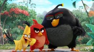 anrgy birds, angry birds game, angry birds mobile games, angry birds news