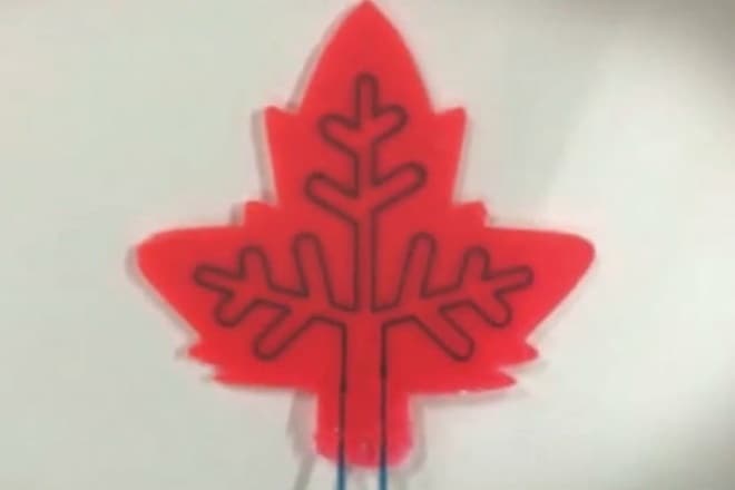 artificial leaf, what is artificial leaf, csir, pune, solar powered car, csir research