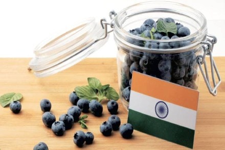 Organic farming, India, lack of policy