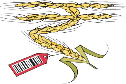 farmers incomes, Doubling farmers incomes, rabi crops