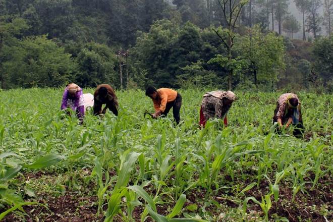 agriculture data, agriculture data for next generation farmers, data for farmers, Indian Council of Agricultural Research