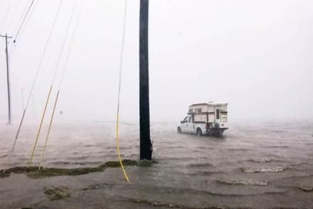 hurricane harvey, indian american, US, Houston, texas,GAIL, Oil India, SEVA International, Greg Abbott, Michael Dell