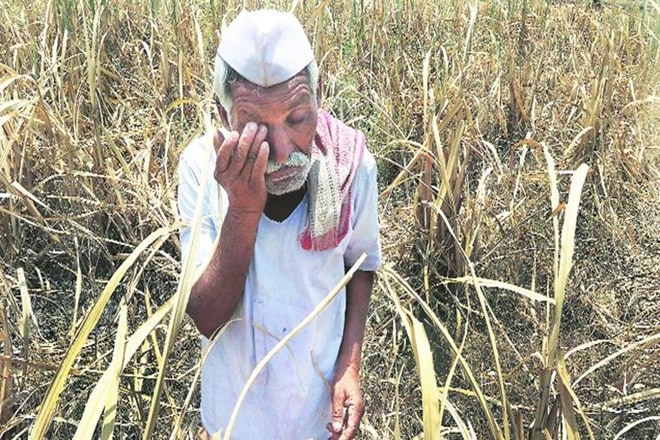 Monsoon in india, monsoon in Madhya Pradesh, farmers protest,  farmers unrest, rabi crop, Kharif crop