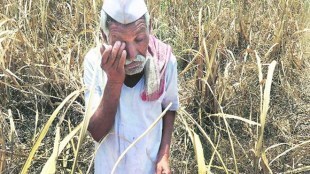 Monsoon in india, monsoon in Madhya Pradesh, farmers protest, farmers unrest, rabi crop, Kharif crop