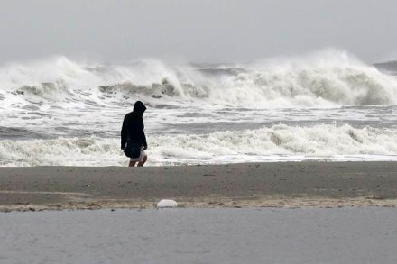 hurricane jose, tropical storm jose, National Hurricane Center, us hurricane, world news