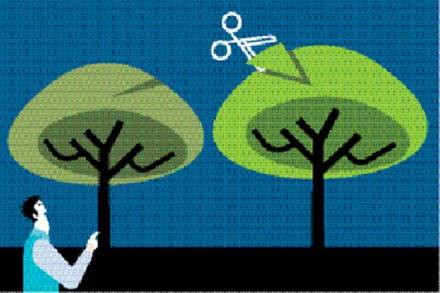 Long term capital gains tax, Long term capital gains tax on fd, Long term capital gains tax fixed income, indexation benefit, indexation benefit calculation, how to calculate indexation benefit Long term capital gains tax, Long term capital gains tax on fd, Long term capital gains tax fixed income, indexation benefit, indexation benefit calculation, how to calculate indexation benefit