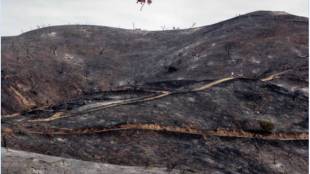 Los Angeles wildfire, largest Los Angeles wildfire, Los Angeles Fire Department, La Tuna Canyon, Eric Garcetti , Jerry Brown, California