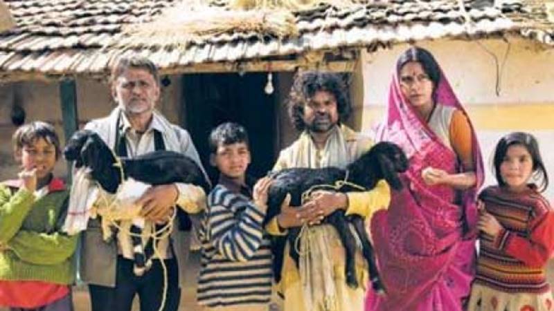 Oscars, academy awards, Best Foreign Language Film, Bollywood movies, India, newton, indian movie selected for oscars, Bollywood films, indian films