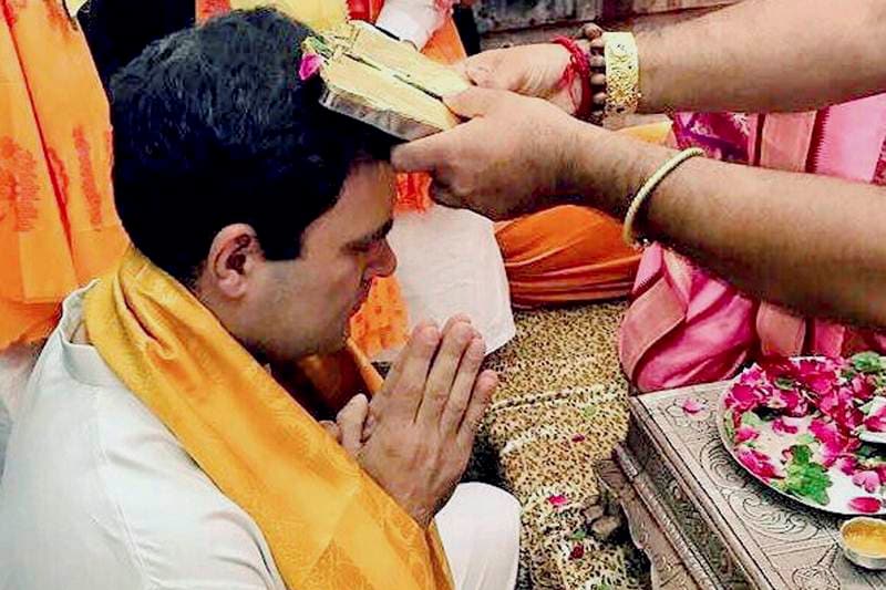 rahul gandhi gujarat visit, rahul gandhi in gujarat, rahul gandhi bullock ride, rahul gamdhi bullock cart ride, rahul gandhi rides bullock in gujarat, congress in gujarat, congress VP, congress vice president, rahul gandhi latest news, rahul gandhi latest updates, rahul gandhi pics, rahul gandhi photos, rahul gandhi pictures, rahul gandhi latest pictures