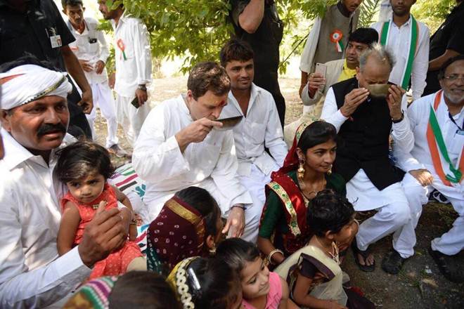 rahul gandhi gujarat visit, rahul gandhi in gujarat, rahul gandhi bullock ride, rahul gamdhi bullock cart ride, rahul gandhi rides bullock in gujarat, congress in gujarat, congress VP, congress vice president, rahul gandhi latest news, rahul gandhi latest updates, rahul gandhi pics, rahul gandhi photos, rahul gandhi pictures, rahul gandhi latest pictures