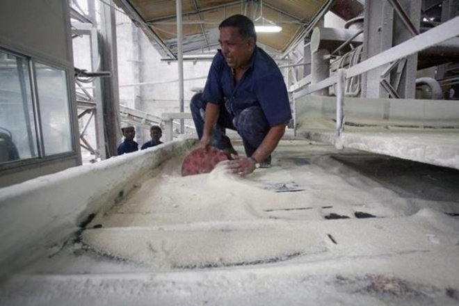 sugar, sugar production, Maharashtra sugar, sugar production, Maharashtra