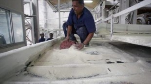 sugar, sugar production, Maharashtra
