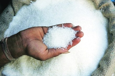 sugar, government, festive season sugar, government, festive season