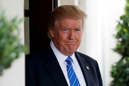 Donald trump, us president donald trump, immigrants US, immigrants in US, united states of america