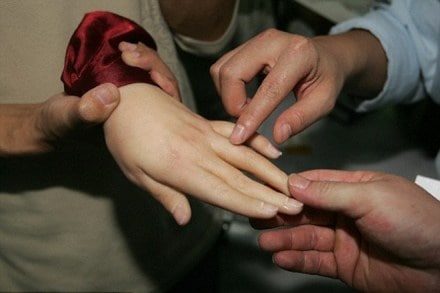 Robot Study, Robot Research, Sensor Robot, Robot Skin, Robot Science