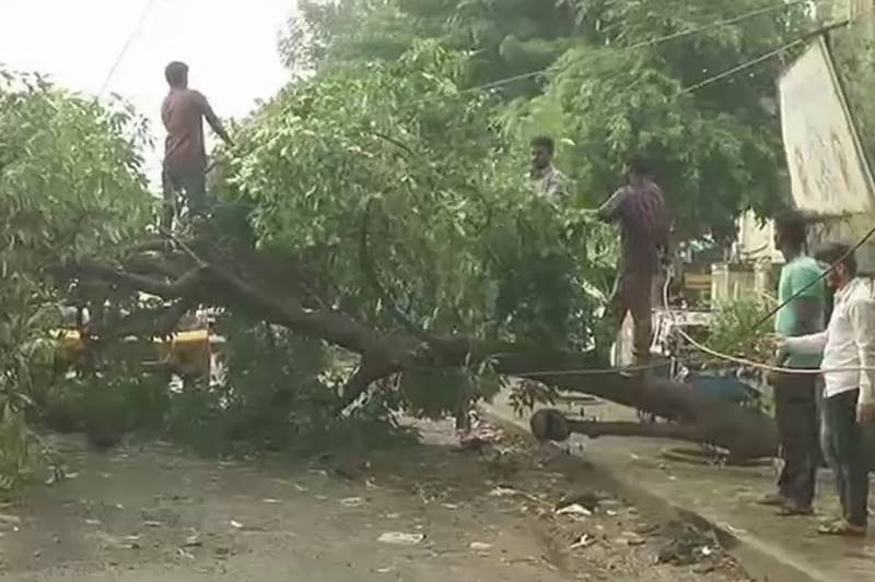 chennai rain, chennai, chennai monsoon, rain in chennai, heavy rain, monsoon, monsoon in india, water logged, heavy shower, thunderstorm, chennai pics, chennai latest news