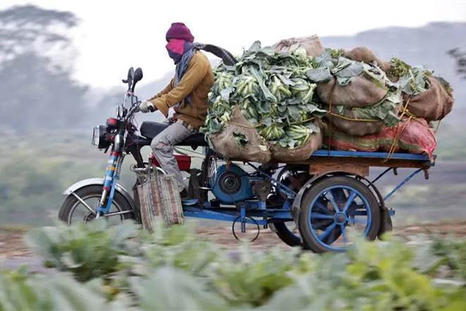 agricultural markets, reform agricultural markets, e-NAM, preparatory steps, equilibrium prices, reform agri-market