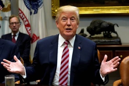 donald trump, paul manafort, donald trump on paul manafort issue, paul manafort donald trump