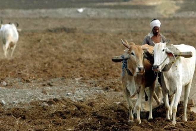 maharashtra loan waiver, loan waiver amount in accounts, how farmers will get loan waiver amount, Maharashtra cooperation minister, Subhash Deshmukh