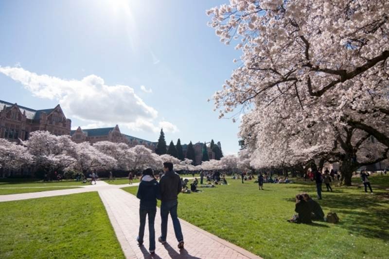 innovative universities, most innovative universities, Indian varsity, Stanford University, Massachusetts Institute of Technology, Harvard University, University of Pennsylvania, KU Leuven, KAIST, University of Washington, University of Michigan System, University of Texas System, Vanderbilt University, education news