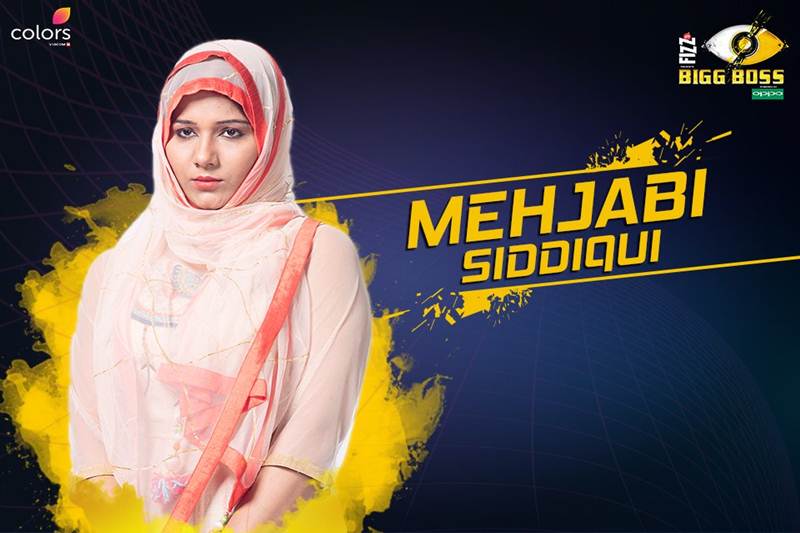 bigg boss 11, bigg boss, bigg boss 11 contestants, bigg boss 11 padosi, bigg boss 11 neighbour contestants, bigg boss 11 padosi participants, bigg boss 11 contestants list, bigg boss 11 news, bigg boss 11 list, bigg boss 11 start date, bigg boss 11 salman khan, bigg boss 11 release date, bigg boss 11 house