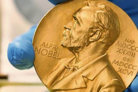 Noble prize, noble prize 2017, noble peace prize, noble peace prize 2017, noble prize peace, noble prize literature, noble prize physics, noble prize chemuistry, noble prize winner, peace prize winner, noble prize winner ICAN, noble prize news, noble prize updates, noble prize live updates, International Campaign to Abolish Nuclear Weapons, Nobel Committee Noble prize, noble prize 2017, noble peace prize, noble peace prize 2017, noble prize peace, noble prize literature, noble prize physics, noble prize chemuistry, noble prize winner, peace prize winner, noble prize winner ICAN, noble prize news, noble prize updates, noble prize live updates, International Campaign to Abolish Nuclear Weapons, Nobel Committee