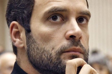 Rahul Gandhi, Rahul Gandhi for Congress president, rahul gandhi set for congress president, rahul gandhi to become congress chief, rahul gandhi congress party president, congress vice president, Randeep Surjewala Rahul Gandhi, Rahul Gandhi for Congress president, rahul gandhi set for congress president, rahul gandhi to become congress chief, rahul gandhi congress party president, congress vice president, Randeep Surjewala