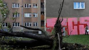 central europe, winds in central europe, winds in europe, czech republic wind killing, wind killing czech republic