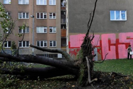 central europe, winds in central europe, winds in europe, czech republic wind killing, wind killing czech republic