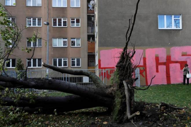 central europe, winds in central europe, winds in europe, czech republic wind killing, wind killing czech republic central europe, winds in central europe, winds in europe, czech republic wind killing, wind killing czech republic