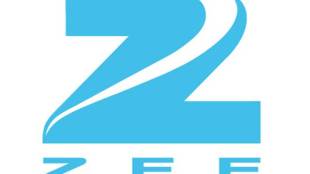 Zee Entertainment, Zee TV channel, 9X Media, Indian consumers