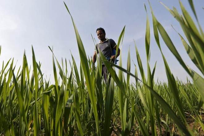 NHRC, Maharashtra, Maharashtra govenment, Agricuture, Agricuture ministry, Union Ministry of Agriculture, National Human Rights Commission, Yavatmal farmers NHRC, Maharashtra, Maharashtra govenment, Agricuture, Agricuture ministry, Union Ministry of Agriculture, National Human Rights Commission, Yavatmal farmers