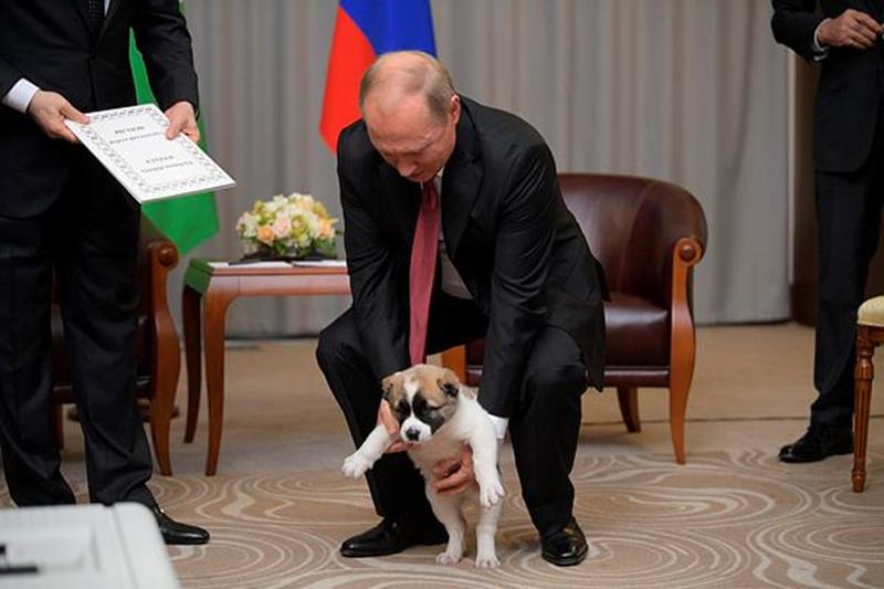 Vladimir putin, Russian President, Bulgarian shepherd, Kurbanguly Berdymukhamedov, Turkmenistan president, Russian President, Putin's dog collection, putin dogs