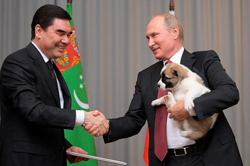 Vladimir putin, Russian President, Bulgarian shepherd, Kurbanguly Berdymukhamedov, Turkmenistan president, Russian President, Putin's dog collection, putin dogs