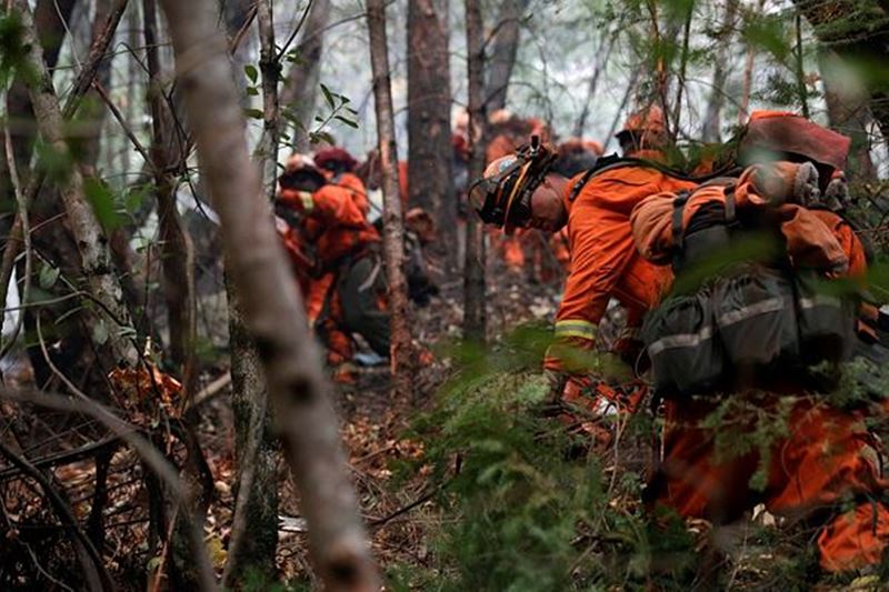 California fire, California fire today, San Francisco, Calistoga, california wildfire, california wildfire, pictures, california firefighters, california fire damage, california fire death toll, california fire news,