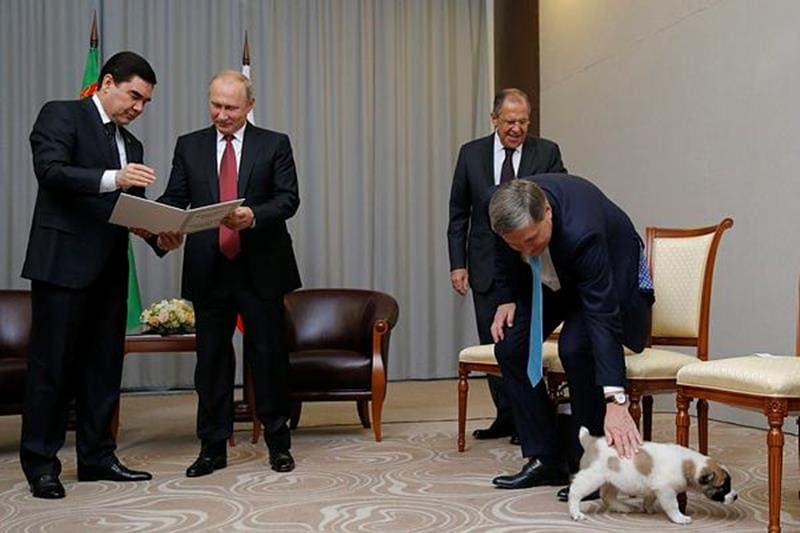Vladimir putin, Russian President, Bulgarian shepherd, Kurbanguly Berdymukhamedov, Turkmenistan president, Russian President, Putin's dog collection, putin dogs