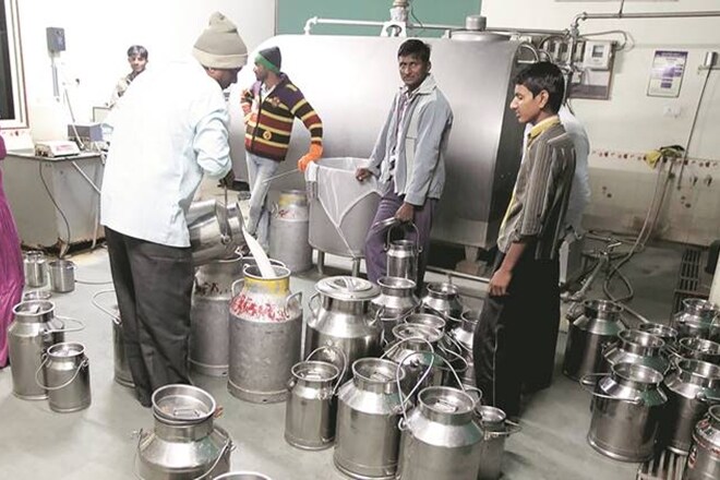 Milk, milk production, farm crop
