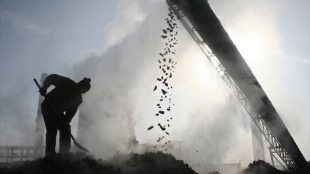 Power plants, coal industry, cement industry, steel industry