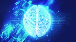 intel, profit forecast