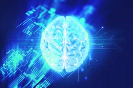 intel, profit forecast