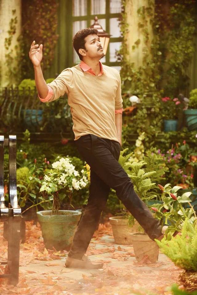 mersal, mersal box office collection, mersal box office, vijay, vijay mersal, mersal box office collection day 1, dangal, raees, vivegam mersal, mersal box office collection, mersal box office, vijay, vijay mersal, mersal box office collection day 1, dangal, raees, vivegam