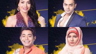 bigg boss 11, bigg boss, bigg boss 11 contestants, bigg boss 11 padosi, bigg boss 11 neighbour contestants, bigg boss 11 padosi participants, bigg boss 11 contestants list, bigg boss 11 news, bigg boss 11 list, bigg boss 11 start date, bigg boss 11 salman khan, bigg boss 11 release date, bigg boss 11 house