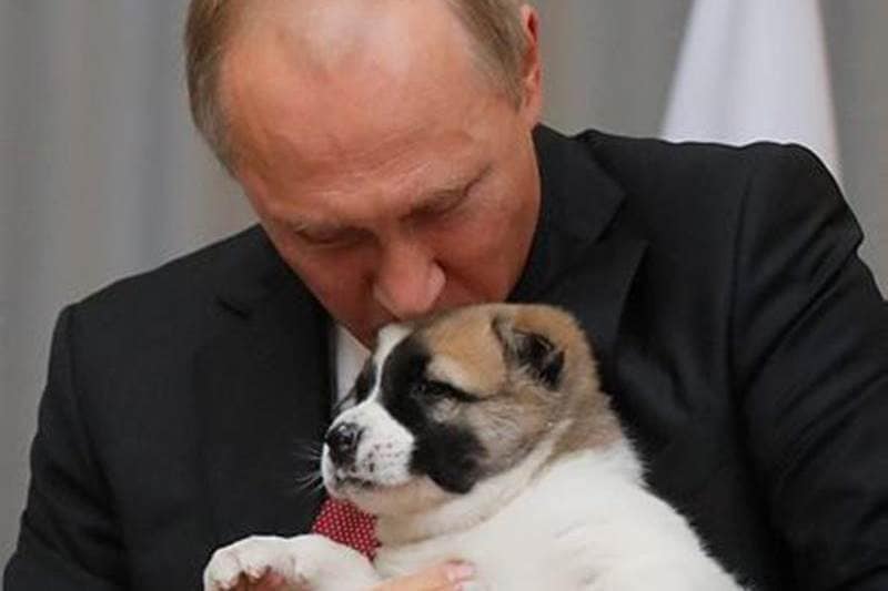 Russian President Vladimir Putin, a dog lover, received an adorable puppy as a belated birthday gift from Turkmenistan's president. Turkmenistan is looking to Russia for boosting exports, especially of Turkmen gas. (Reuters)