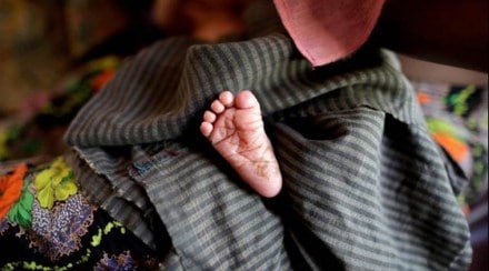 india bangladesh talks, india and bangladesh, india rohingyas, bangladesh rohingyas, rohingya muslims, rohingya refugees, rohingya crisis, india news india bangladesh talks, india and bangladesh, india rohingyas, bangladesh rohingyas, rohingya muslims, rohingya refugees, rohingya crisis, india news