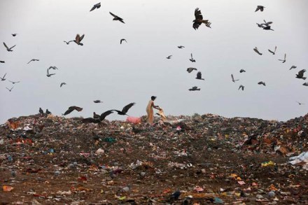 Delhi sanitation, Delhi sanitation workers, East Delhi sanitation workers, indefinite strike, workers indefinite strike, EDMC sanitation workers, East Delhi Municipal Corporation, Diwali season, EDMC, Sanjay Gehlot, news Delhi sanitation, Delhi sanitation workers, East Delhi sanitation workers, indefinite strike, workers indefinite strike, EDMC sanitation workers, East Delhi Municipal Corporation, Diwali season, EDMC, Sanjay Gehlot, news